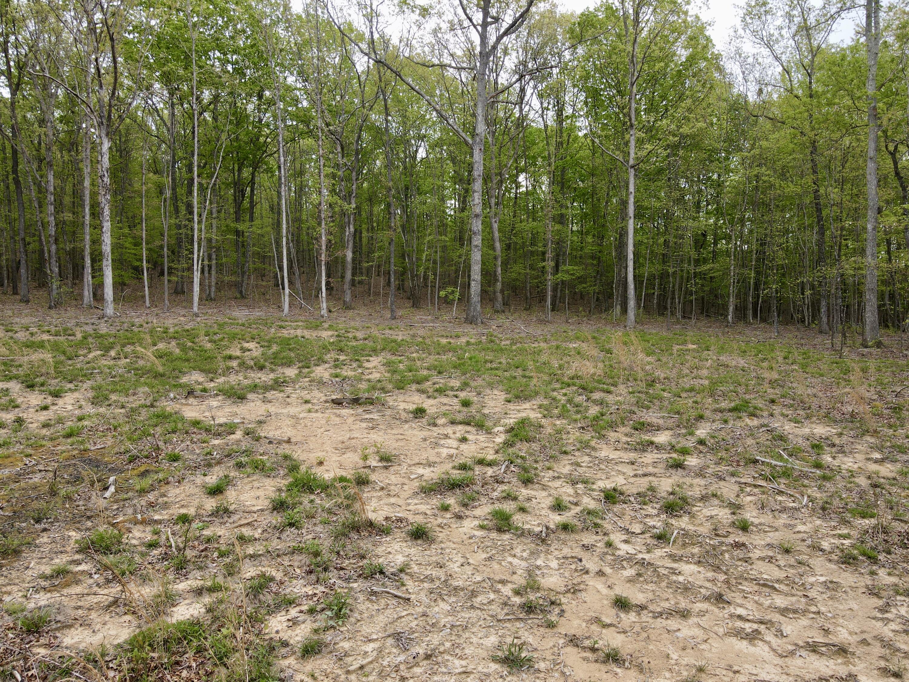 Deer Wood Drive #LOT 14, Sewanee, Tennessee image 25