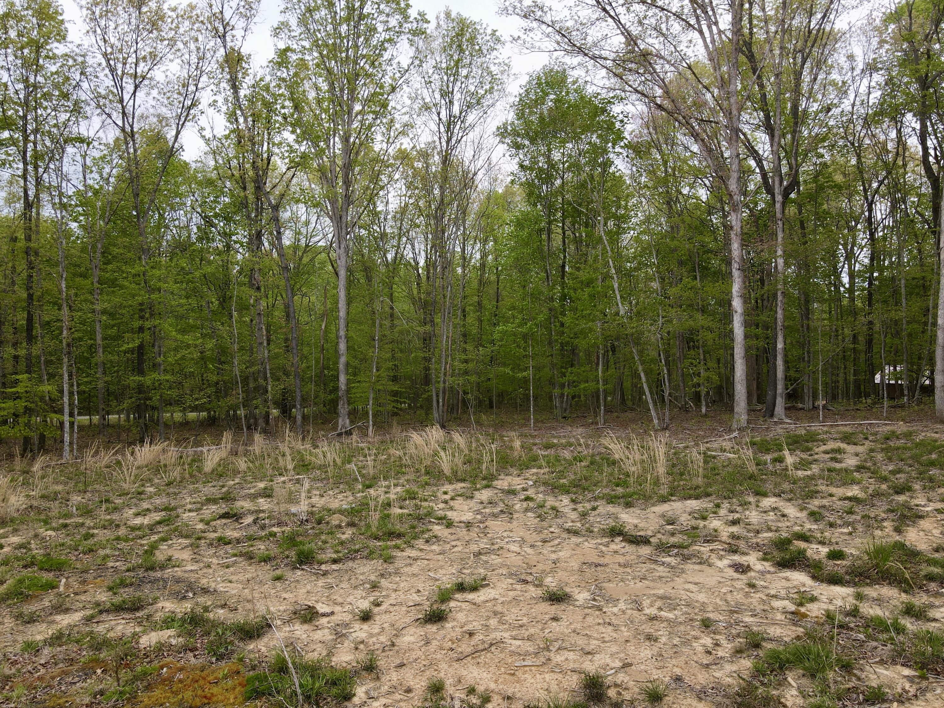 Deer Wood Drive #LOT 14, Sewanee, Tennessee image 22
