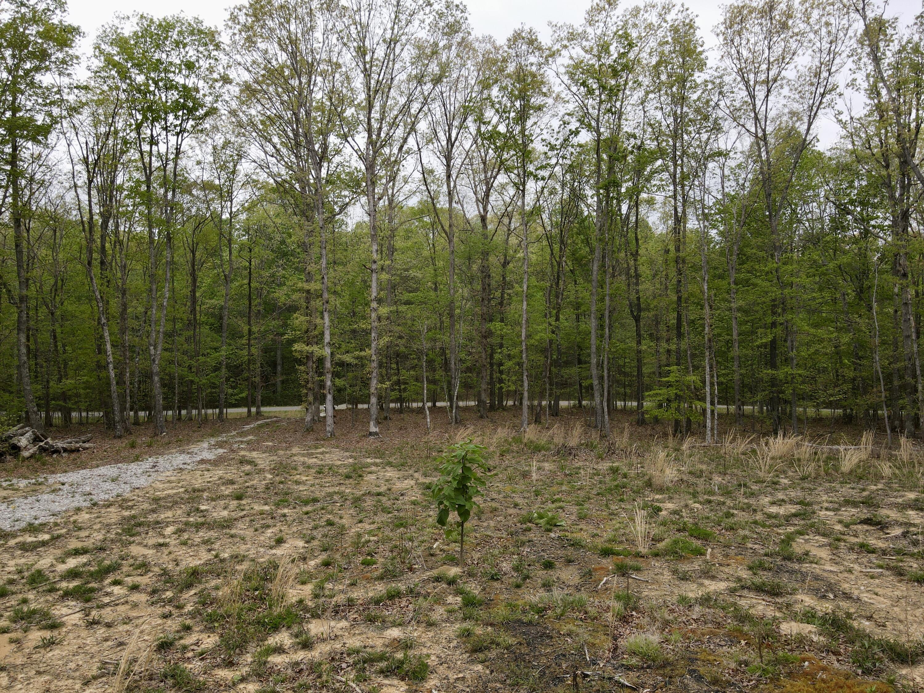Deer Wood Drive #LOT 14, Sewanee, Tennessee image 21