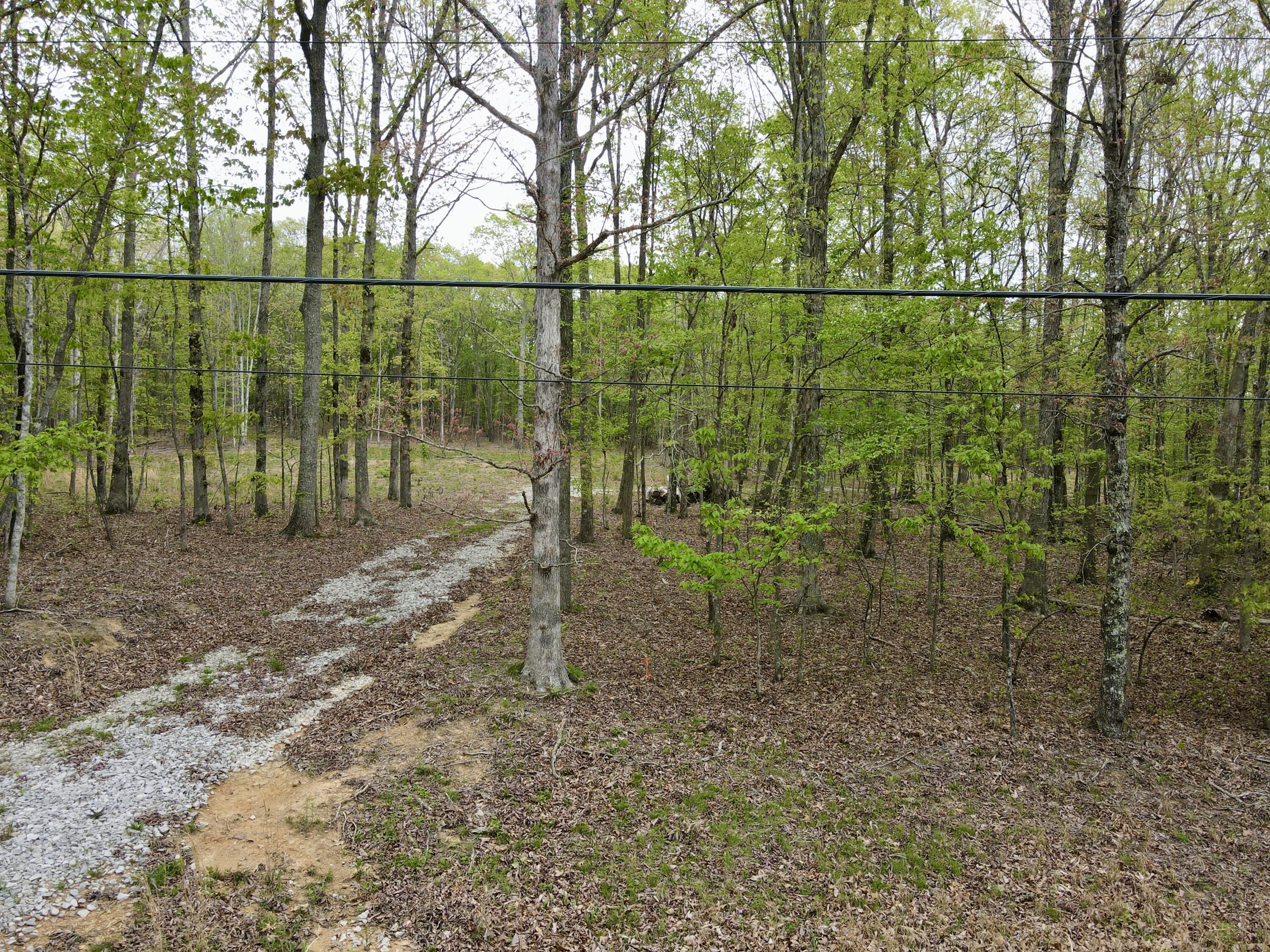 Deer Wood Drive #LOT 14, Sewanee, Tennessee image 13