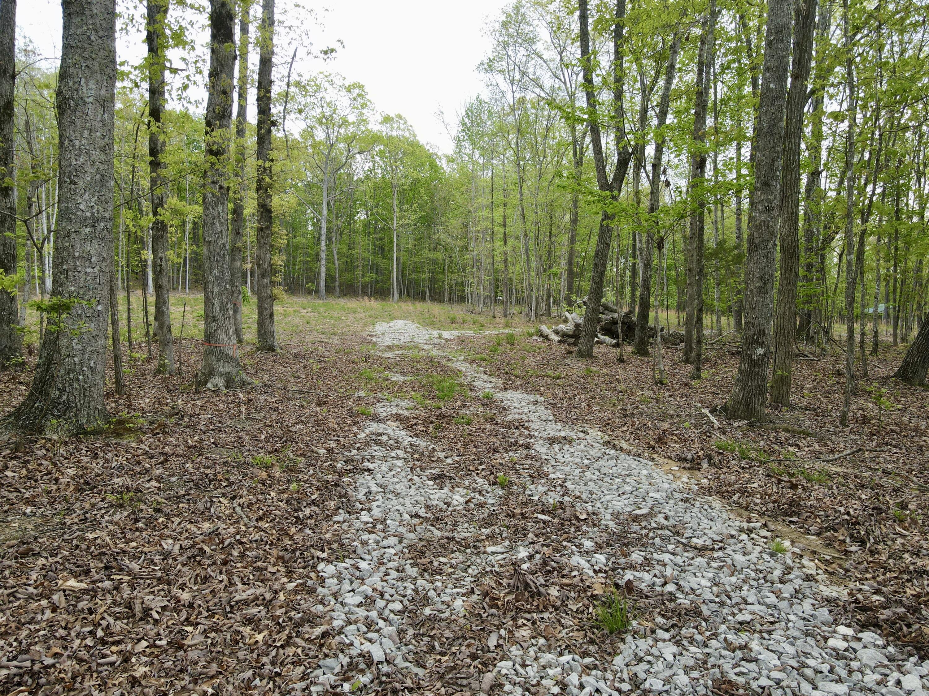 Deer Wood Drive #LOT 14, Sewanee, Tennessee image 29