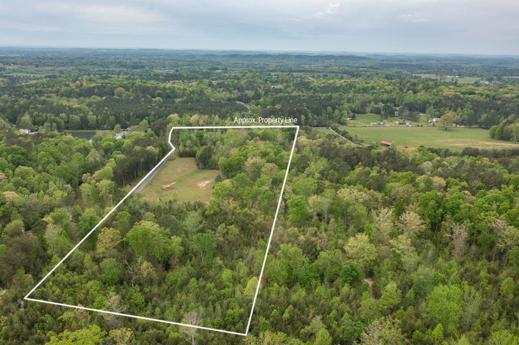 42.8 Ac Henry Ross Road, Crandall, Georgia image 2