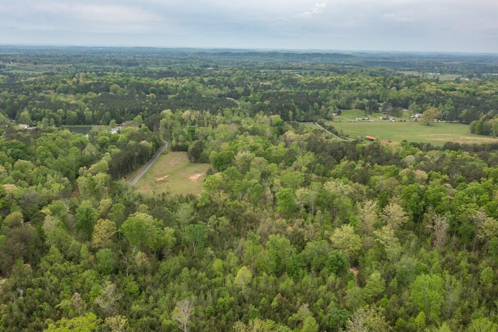 42.8 Ac Henry Ross Road, Crandall, Georgia image 8