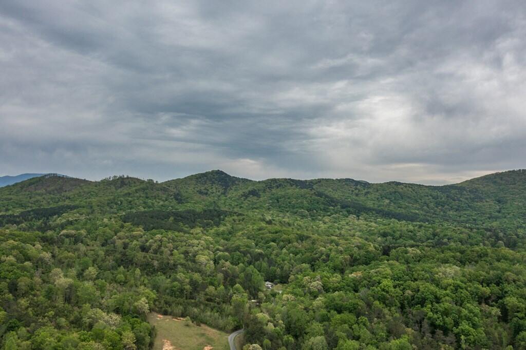 42.8 Ac Henry Ross Road, Crandall, Georgia image 9