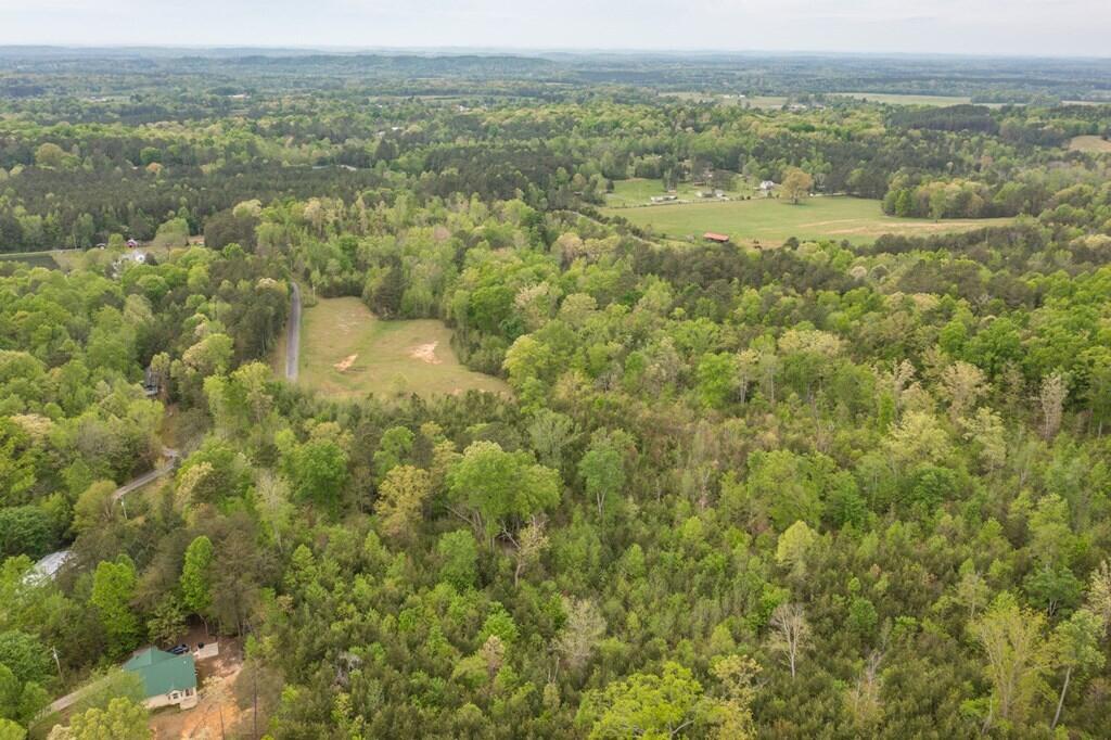 42.8 Ac Henry Ross Road, Crandall, Georgia image 7