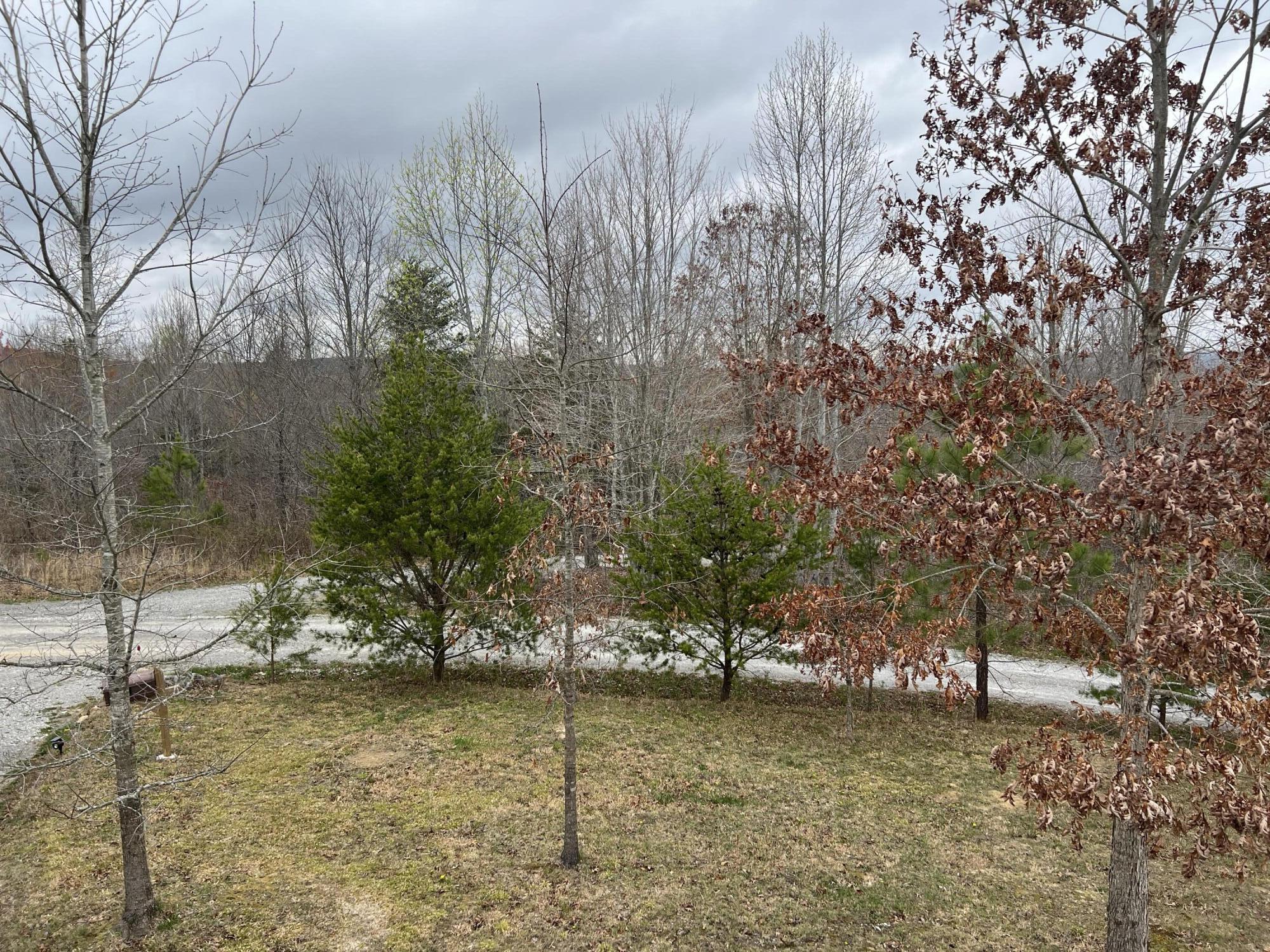 4691 Browns Hollow Road, Tracy City, Tennessee image 12