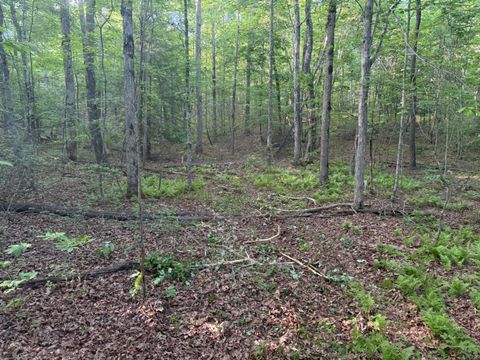 Photo of 1672 Besstown Road, Beersheba Springs, TN 37305 (MLS # 1535273)