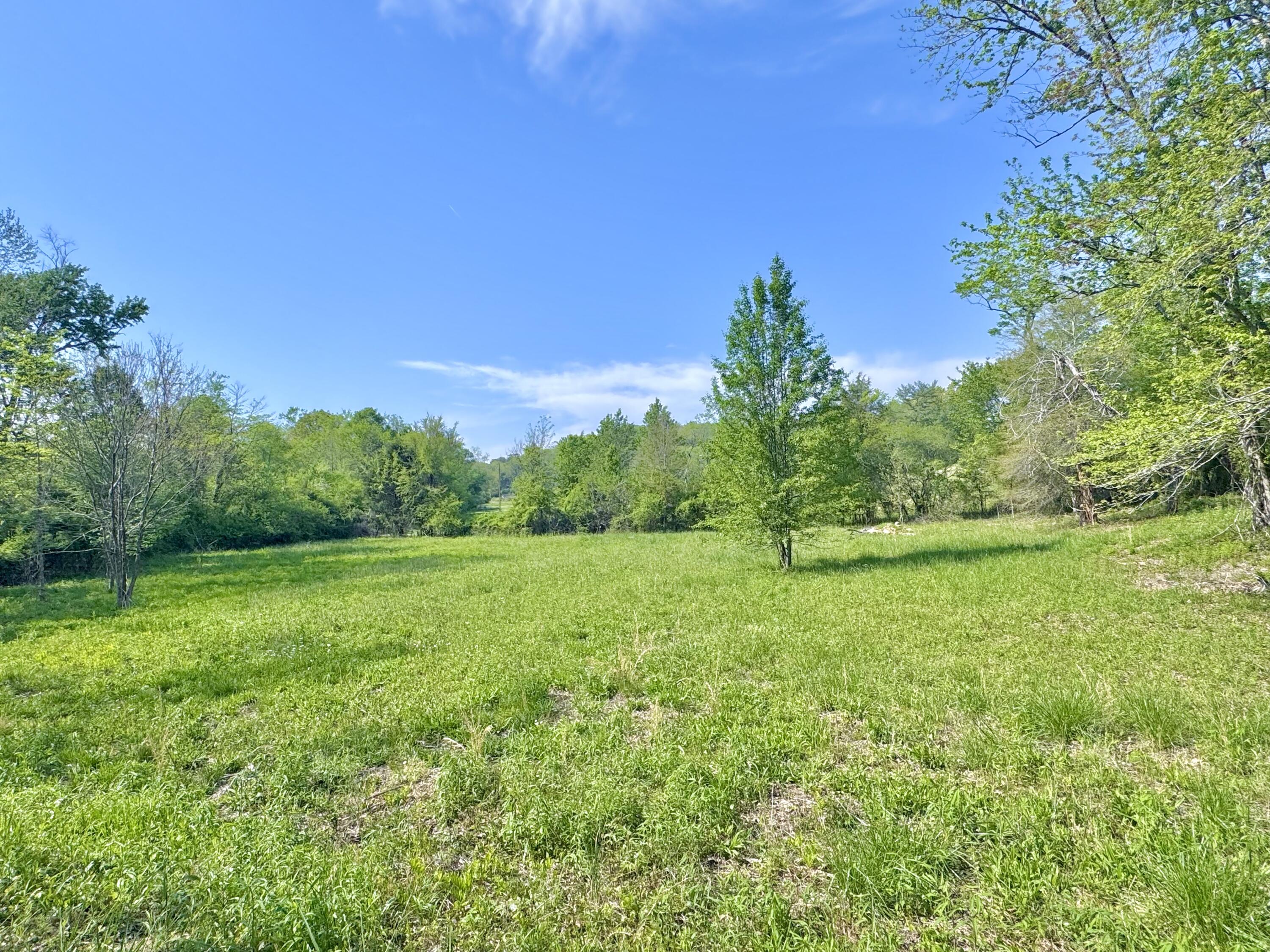 253 Heavenlee Lane, Dayton, Tennessee image 15