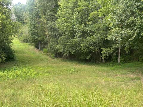 Photo of 14543 Baker Road, Birchwood, TN 37308 (MLS # 1540799)