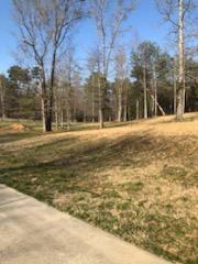 Lot 1 Dakota Lane, Cleveland, Tennessee image 6