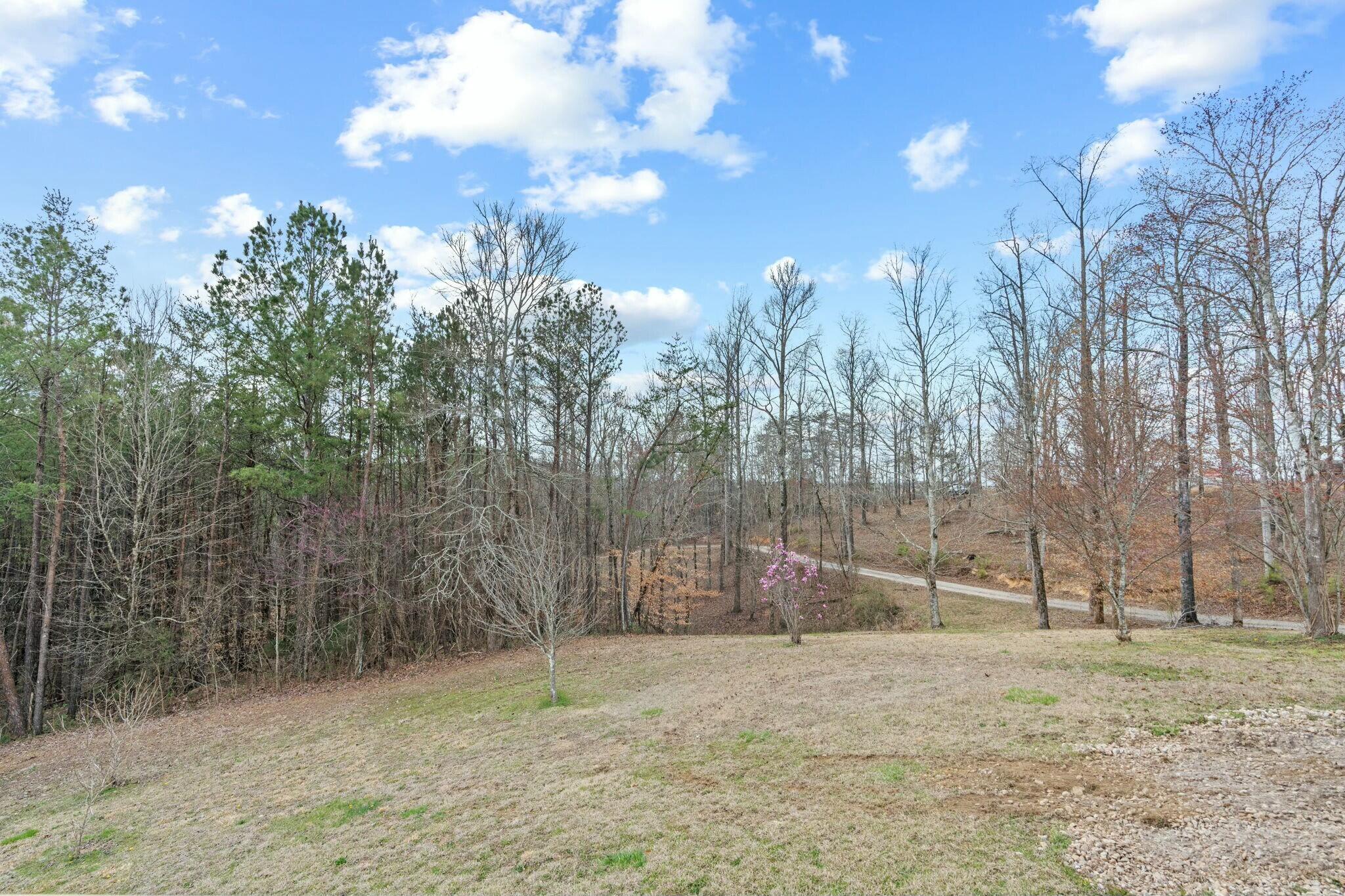 253 Booger Branch Road, Crandall, Georgia image 43