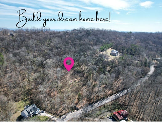 6829 BIG RIDGE RD, HIXSON, TN 37343 - Image af41cf9723e56adb79a0a1ef0fa7f736/2845434841
