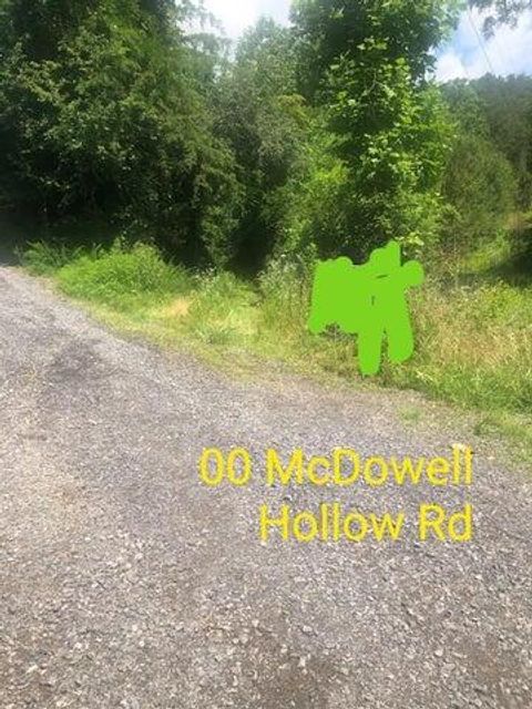 Vacant Land For Sale - 00 Mcdowell Hollow Road<br/> Meigs County, Decatur, TN 37322