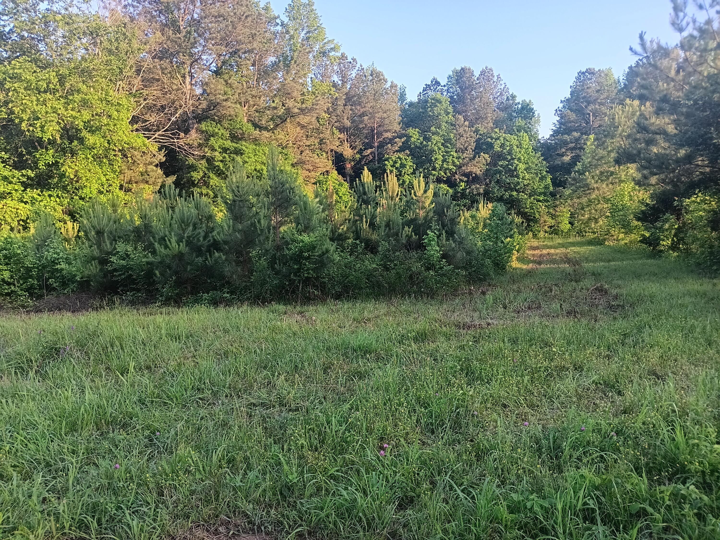 Lot 5 Reagan Road, Cleveland, Tennessee image 1