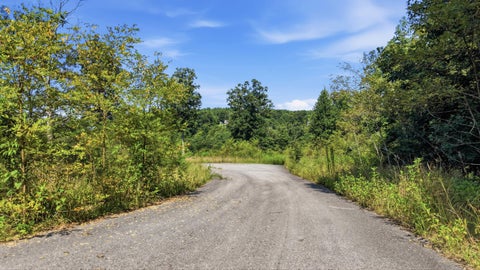 Photo of 622 Coyote Trail, Spencer, TN 38585 (MLS # 1544236)