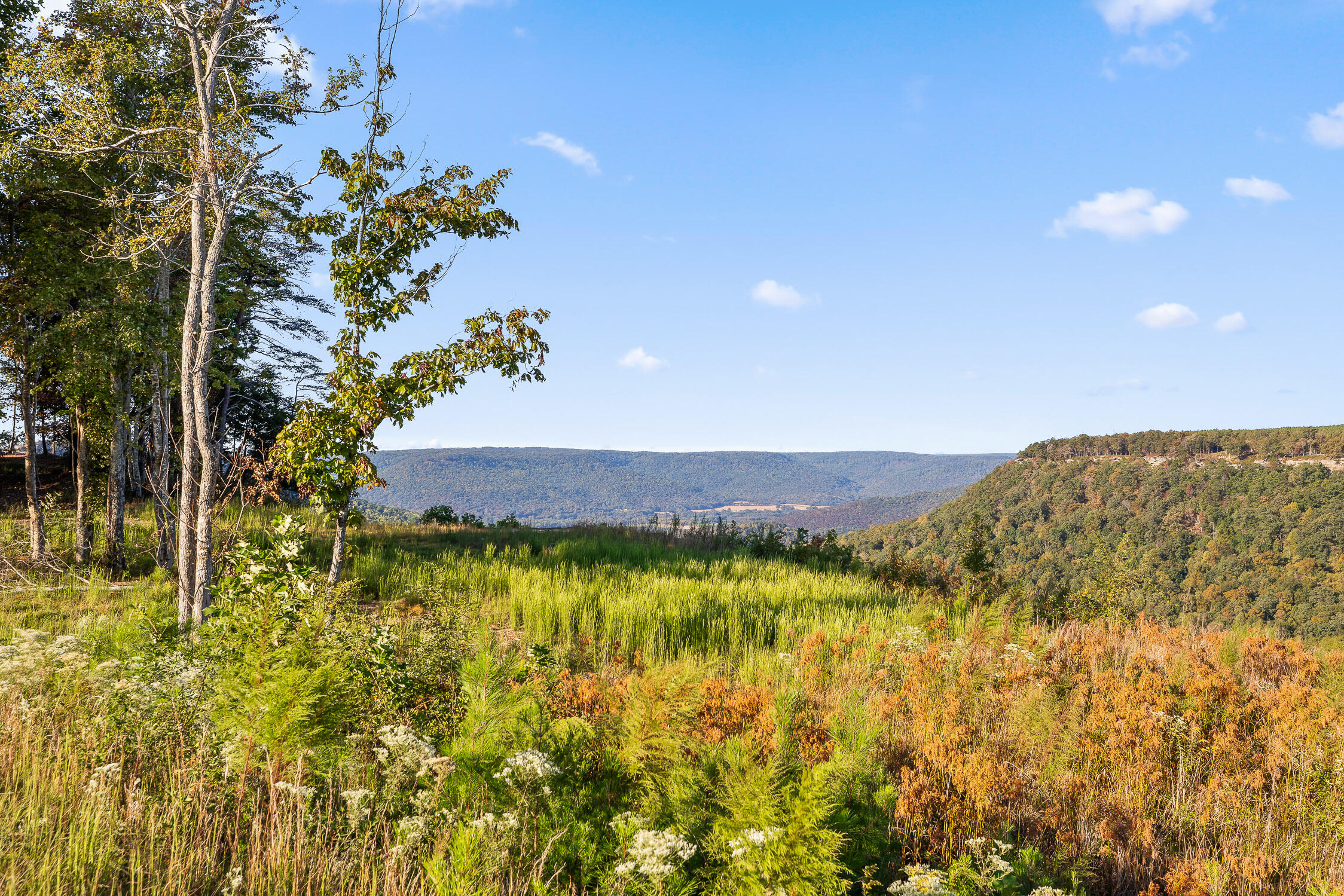 Lot 22 Moonshine Drive, Jasper, Tennessee image 21