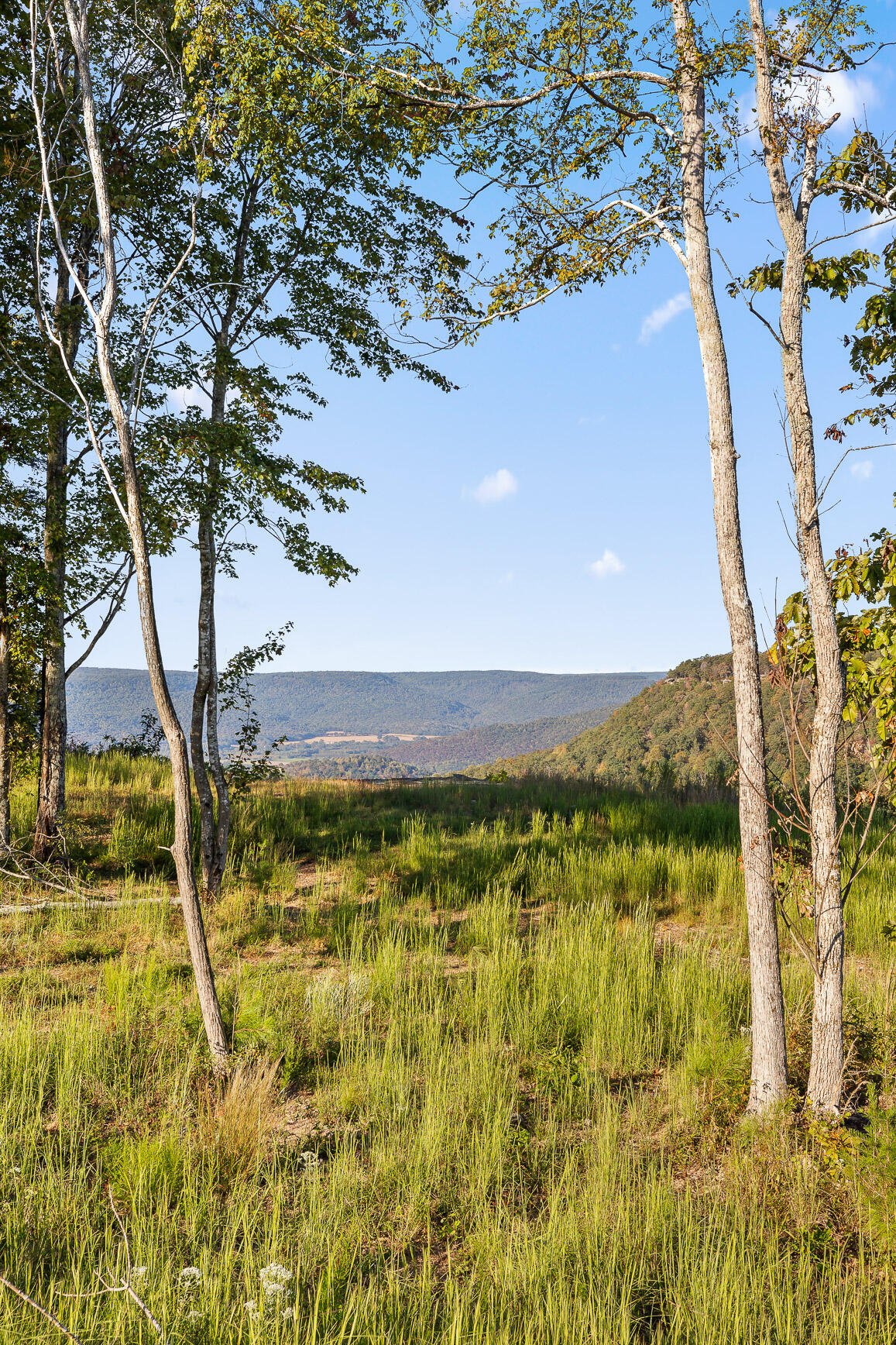 Lot 22 Moonshine Drive, Jasper, Tennessee image 20