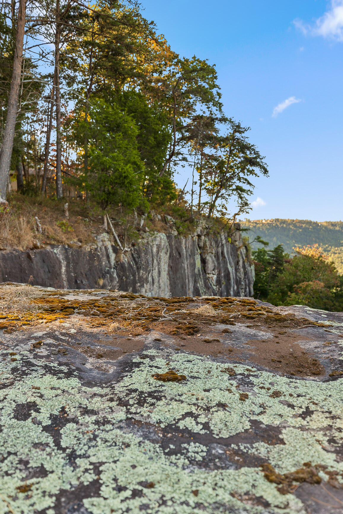 Lot 22 Moonshine Drive, Jasper, Tennessee image 16