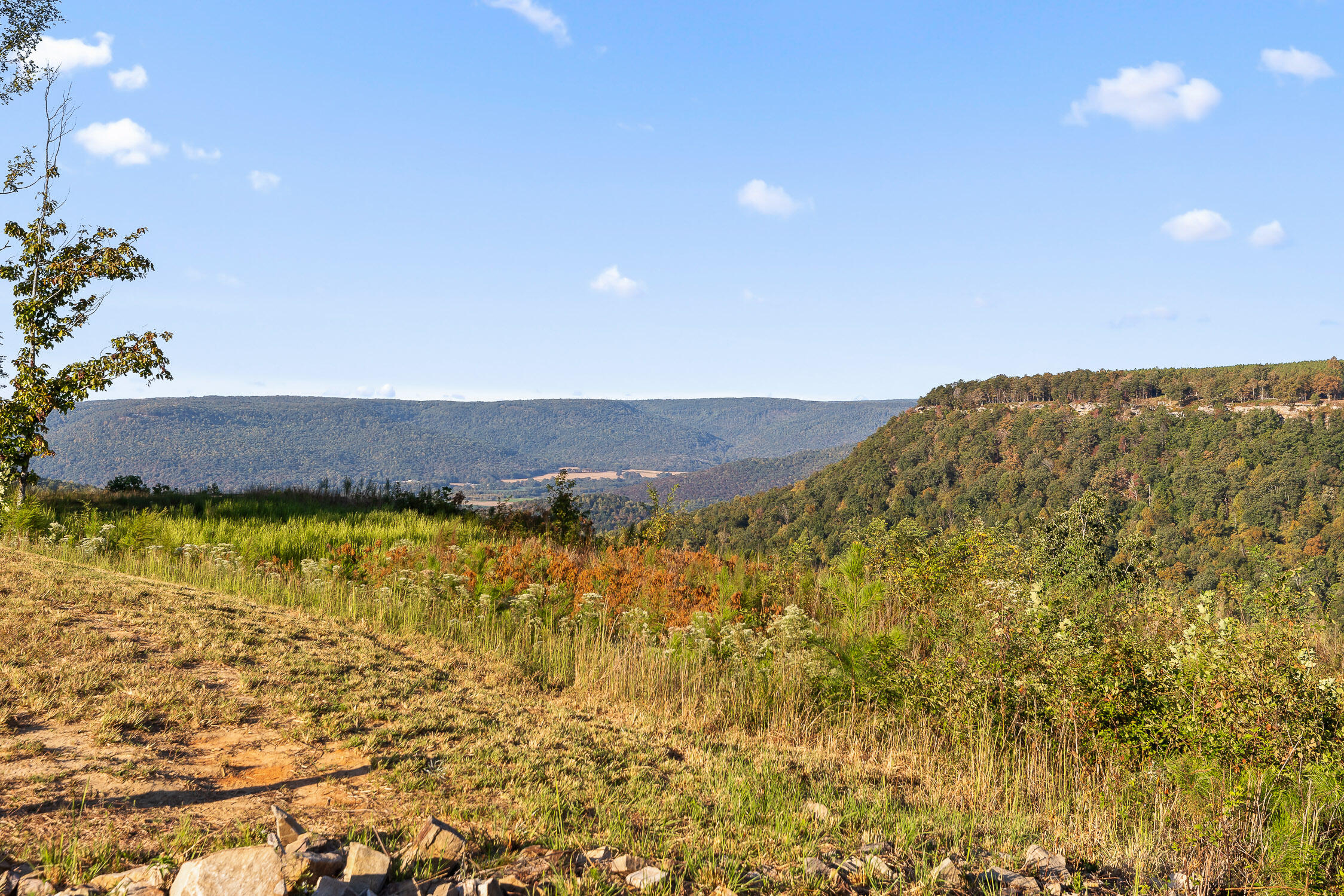 Lot 22 Moonshine Drive, Jasper, Tennessee image 18