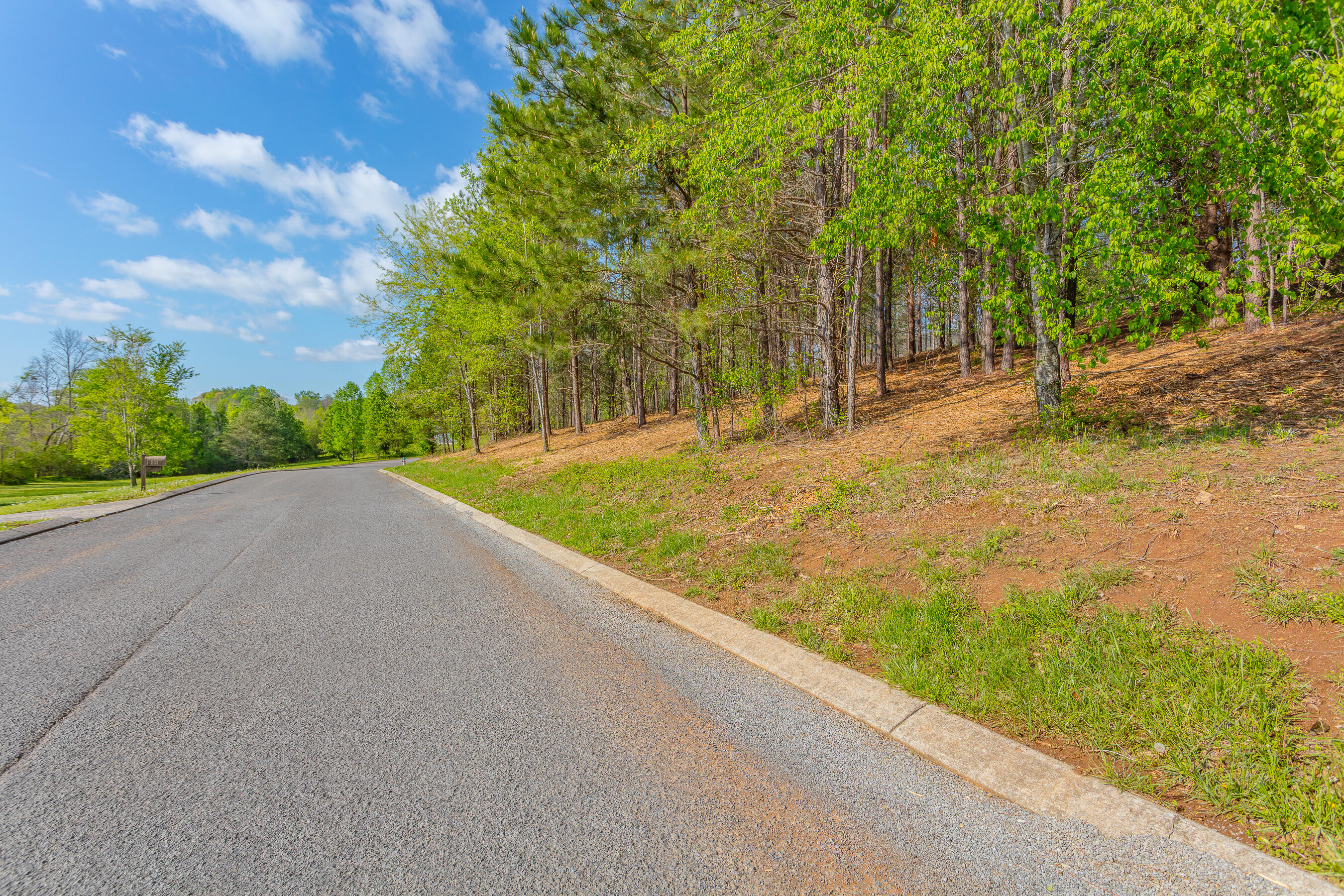 19 Turkey Run, Flintstone, Georgia image 3