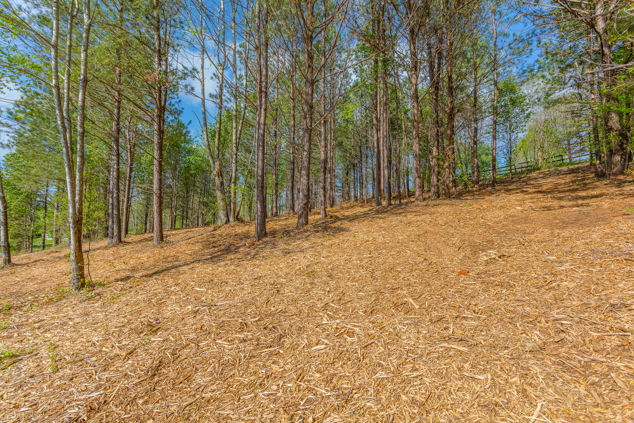 19 Turkey Run, Flintstone, Georgia image 1