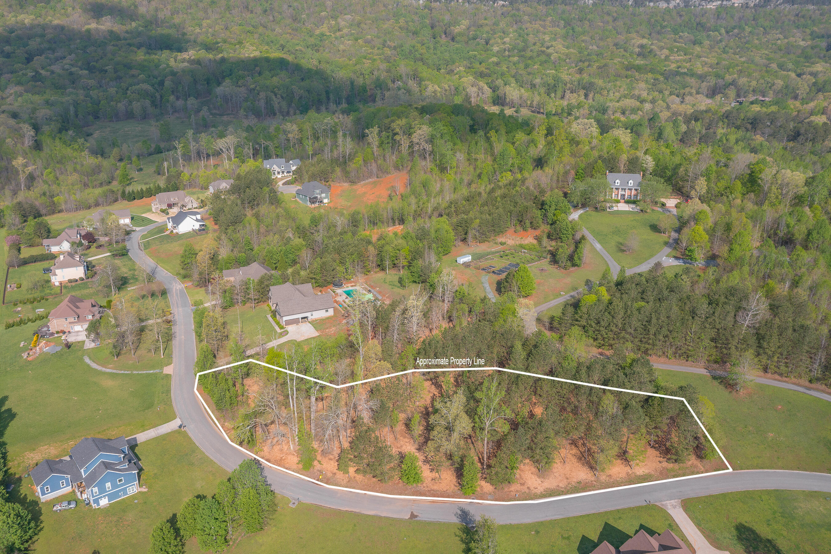 19 Turkey Run, Flintstone, Georgia image 5