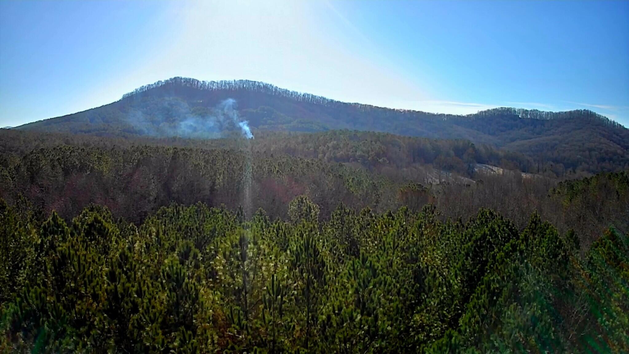 Black Bear Ridge Road, Ellijay, Georgia image 1