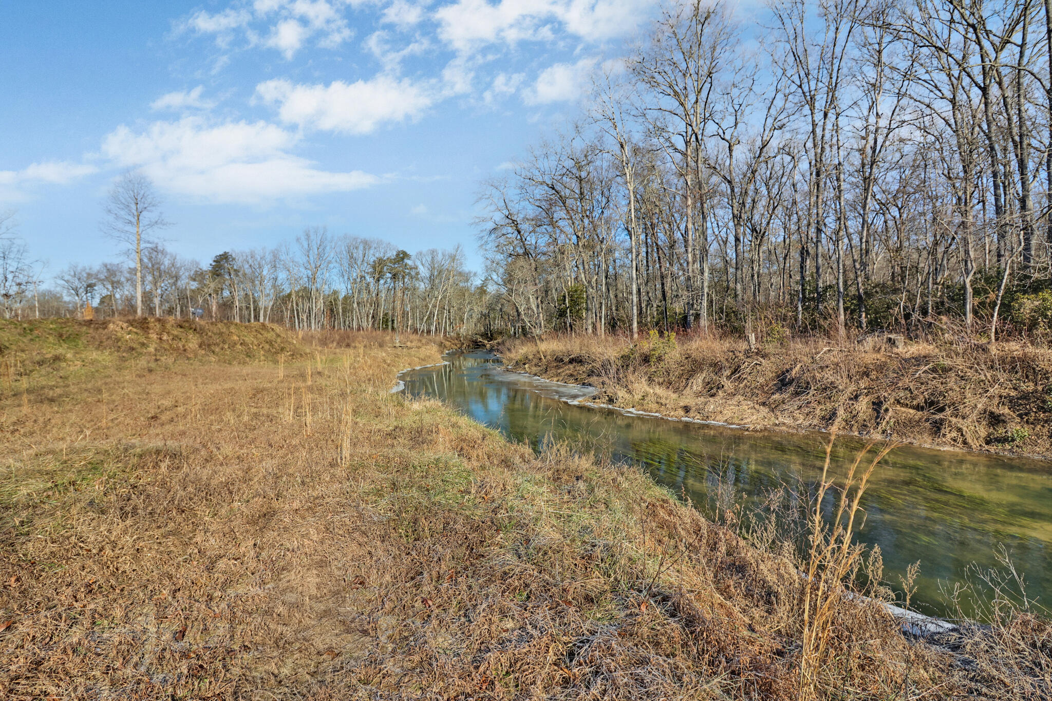 795 Pine Road, Pikeville, Tennessee image 38