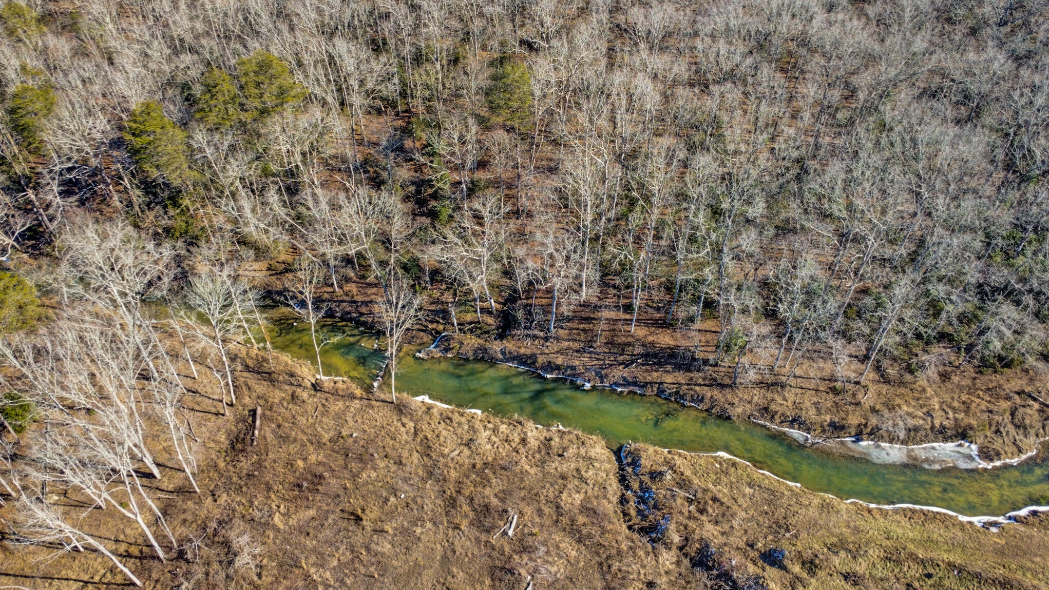 795 Pine Road, Pikeville, Tennessee image 42