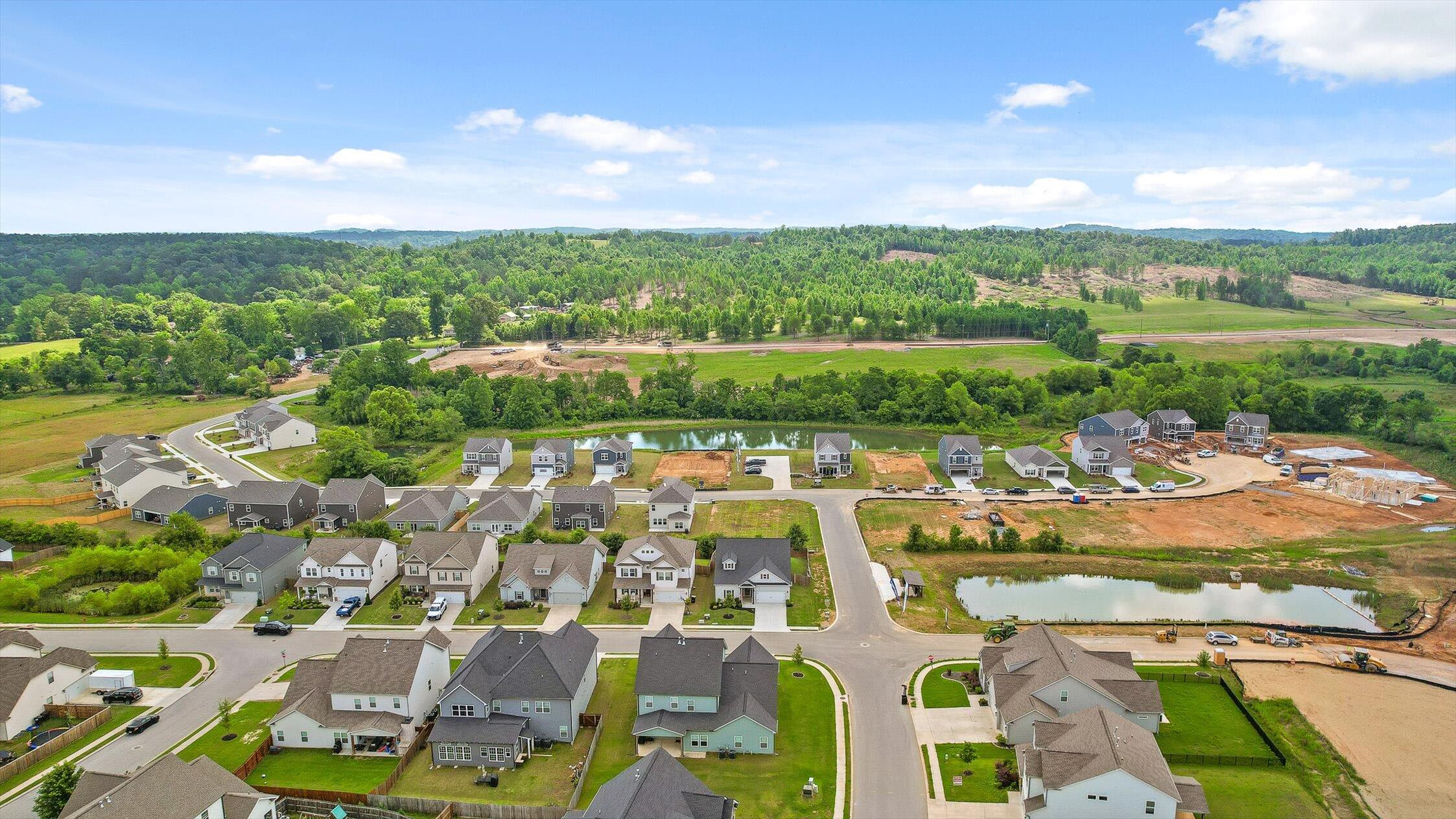10784 Prairie Lake Drive, Apison, Tennessee image 39