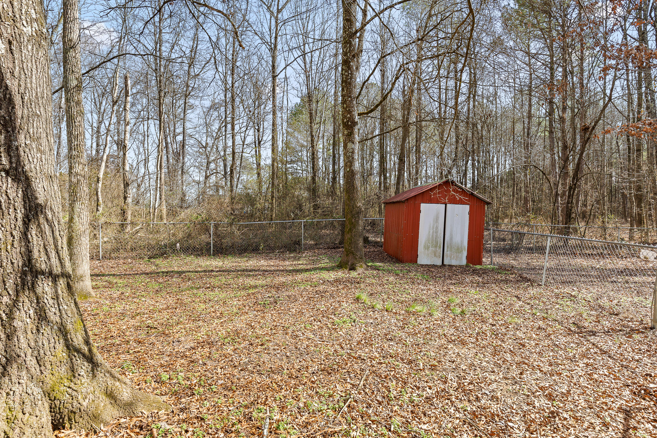 21706 Highway 71, Flat Rock, Alabama image 9