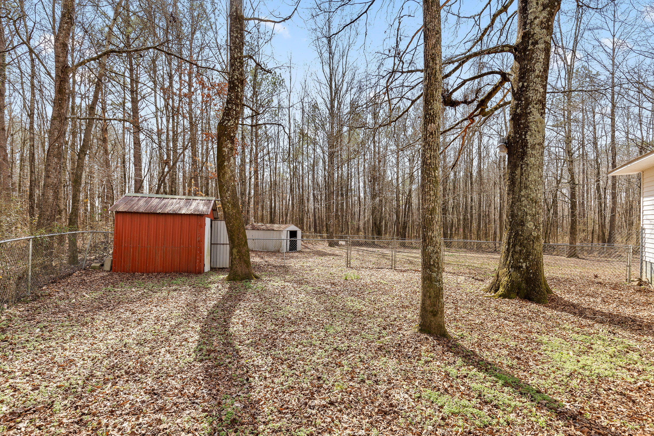 21706 Highway 71, Flat Rock, Alabama image 8