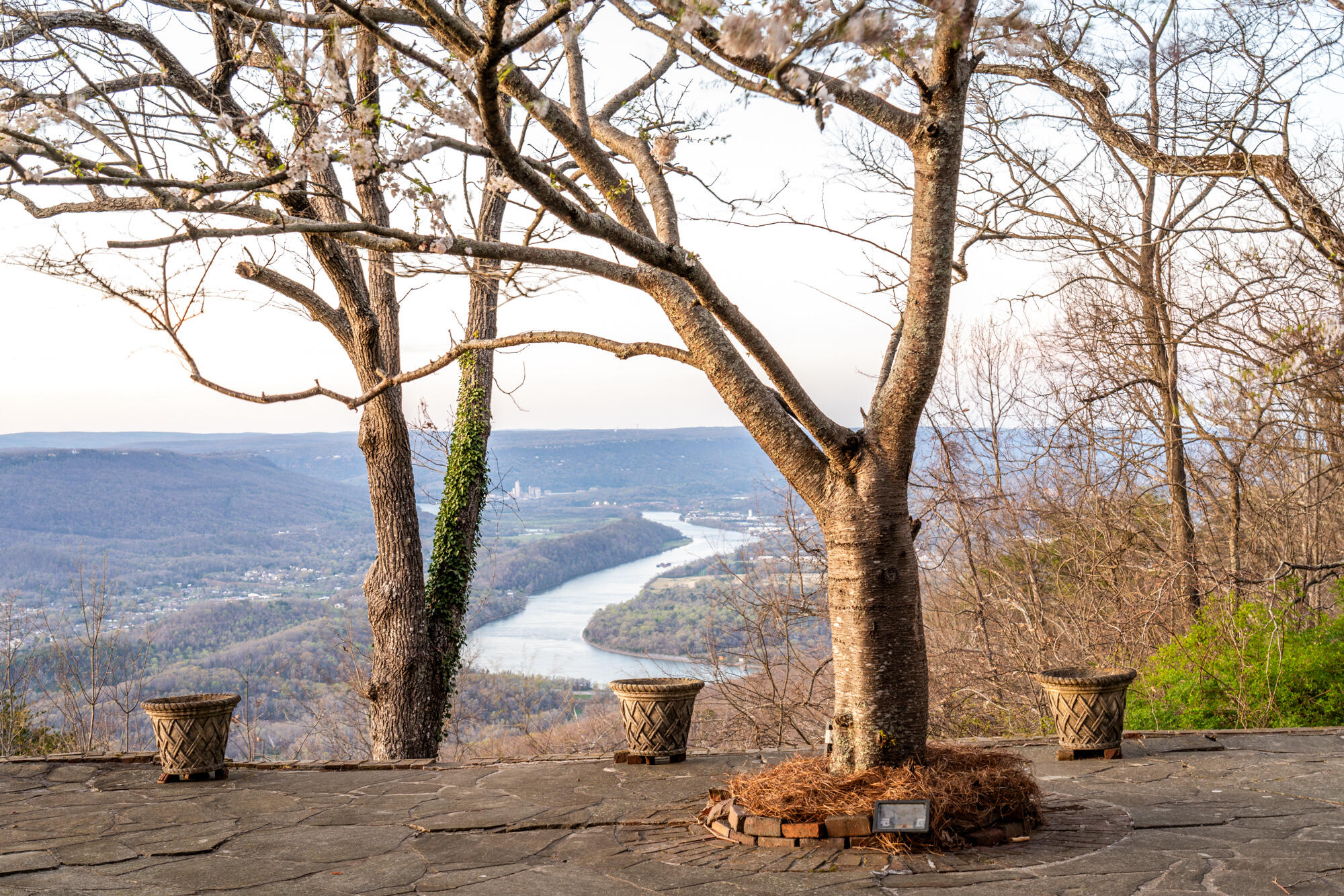512 W Brow Road, Lookout Mountain, Tennessee image 2