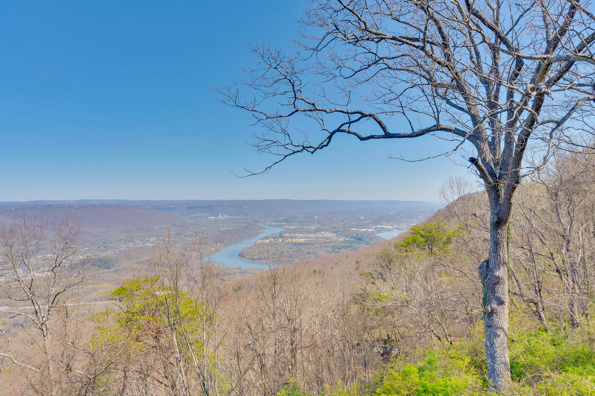 512 W Brow Road, Lookout Mountain, Tennessee image 41