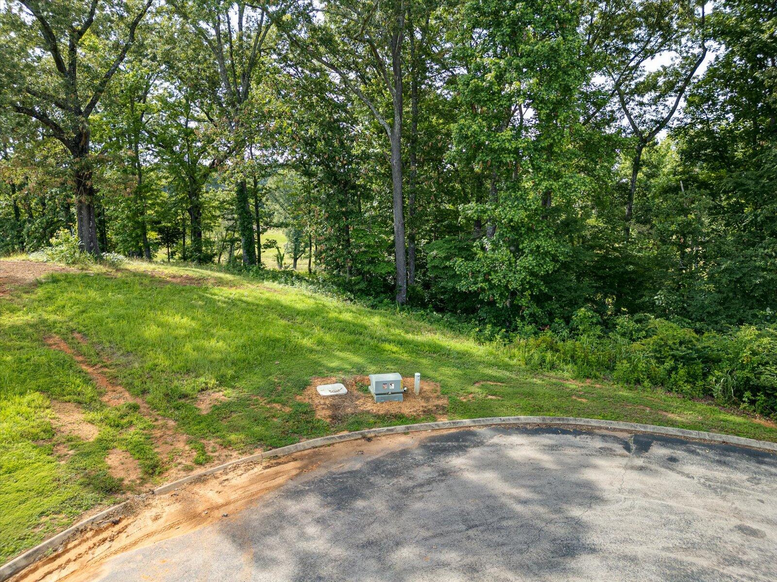 Spinnaker Drive #LOT 152R, Jasper, Tennessee image 8