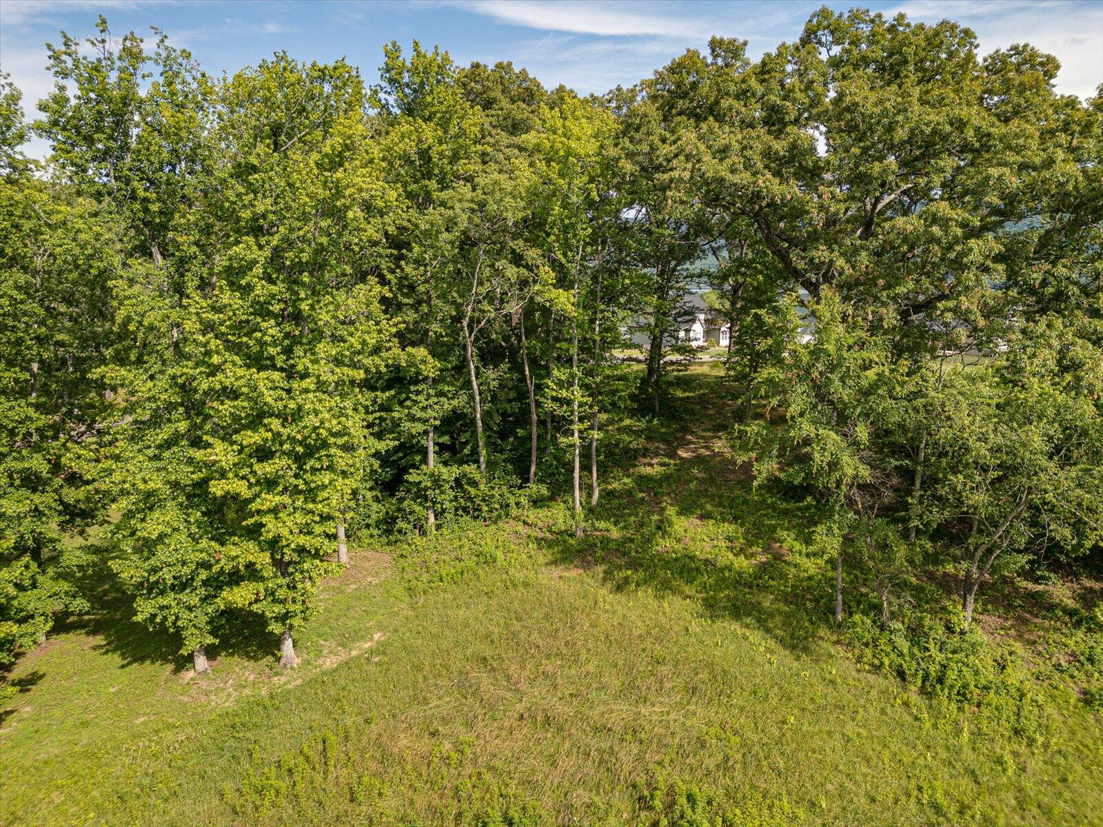 Spinnaker Drive #LOT 152R, Jasper, Tennessee image 12