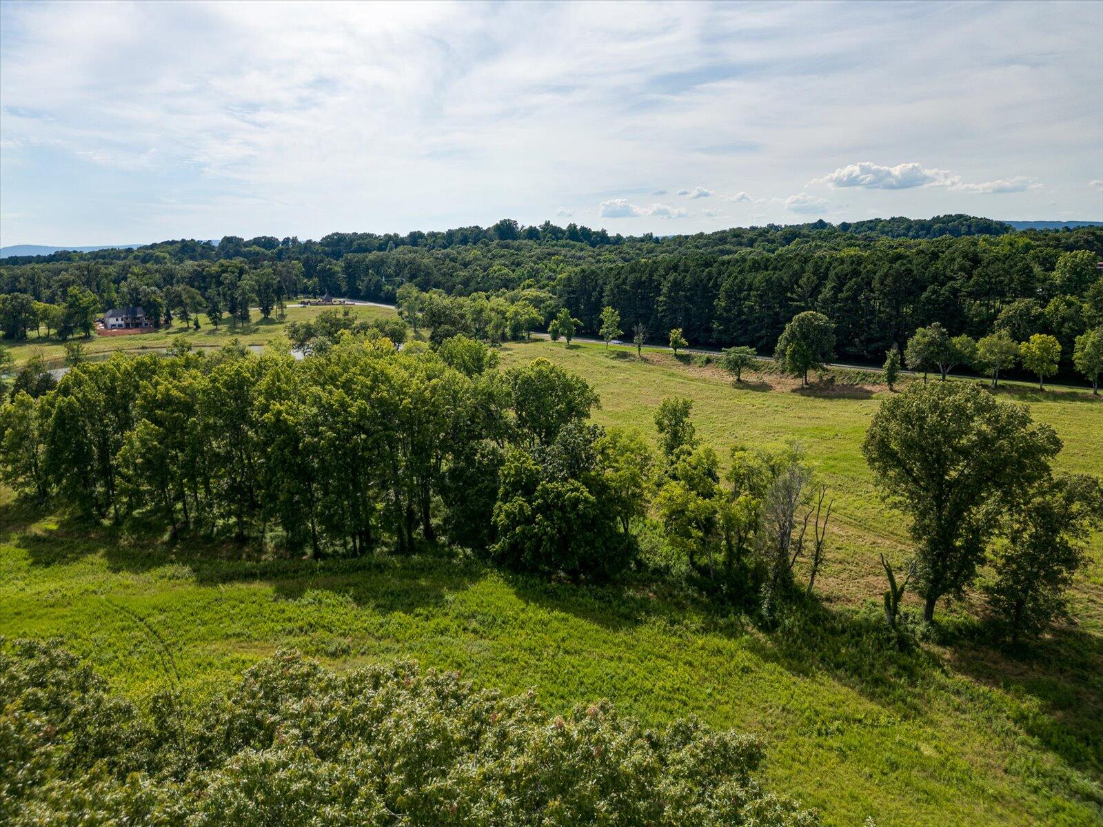 Spinnaker Drive #LOT 152R, Jasper, Tennessee image 15