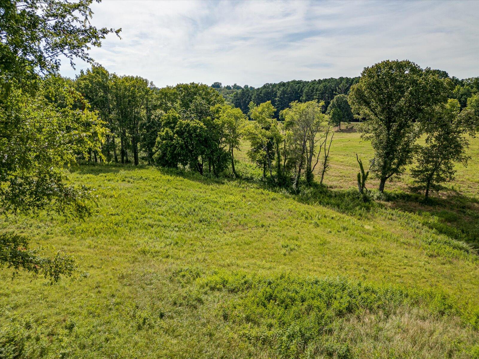 Spinnaker Drive #LOT 152R, Jasper, Tennessee image 14
