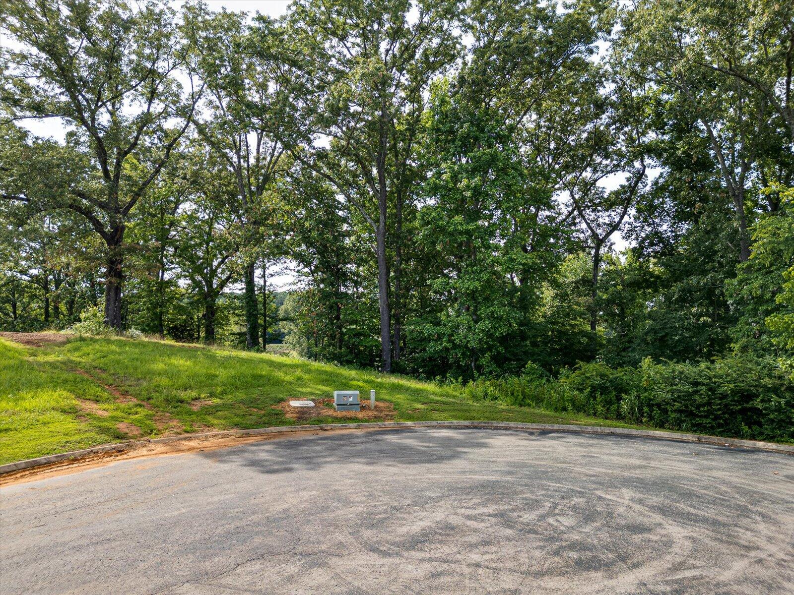 Spinnaker Drive #LOT 152R, Jasper, Tennessee image 6