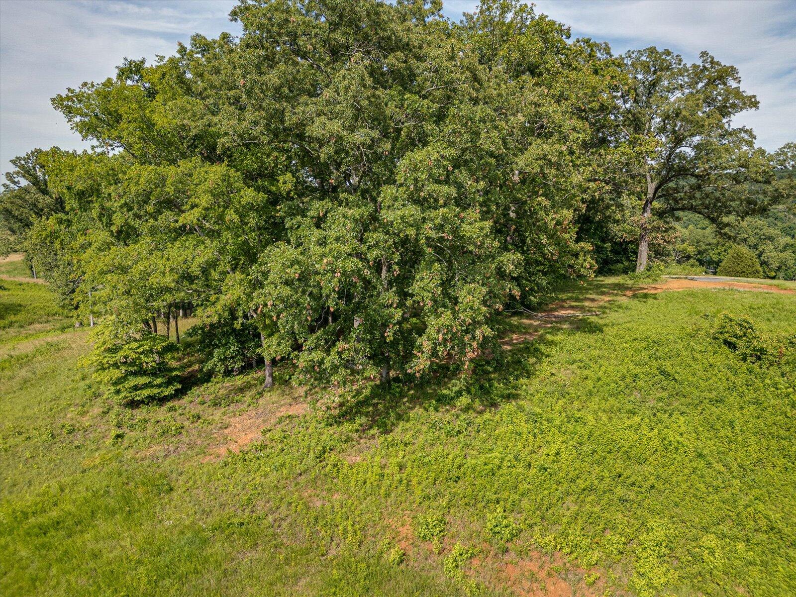 Spinnaker Drive #LOT 152R, Jasper, Tennessee image 11