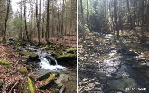 Tiny photo for 6015 Sawyer Road, Signal Mountain, TN 37377 (MLS # 1520674)