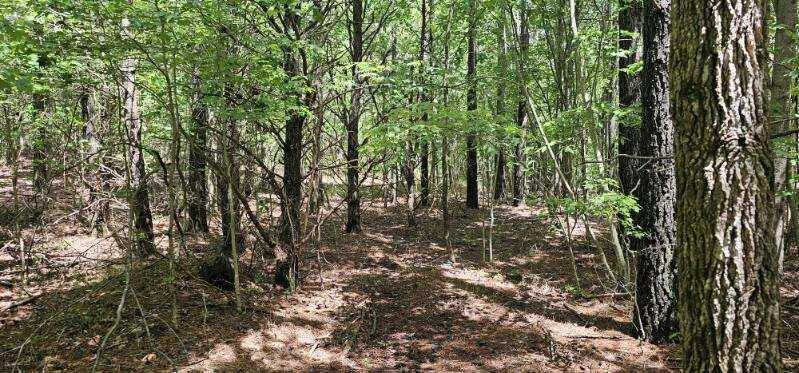 Sunset Rd #533, Spencer, Tennessee image 1