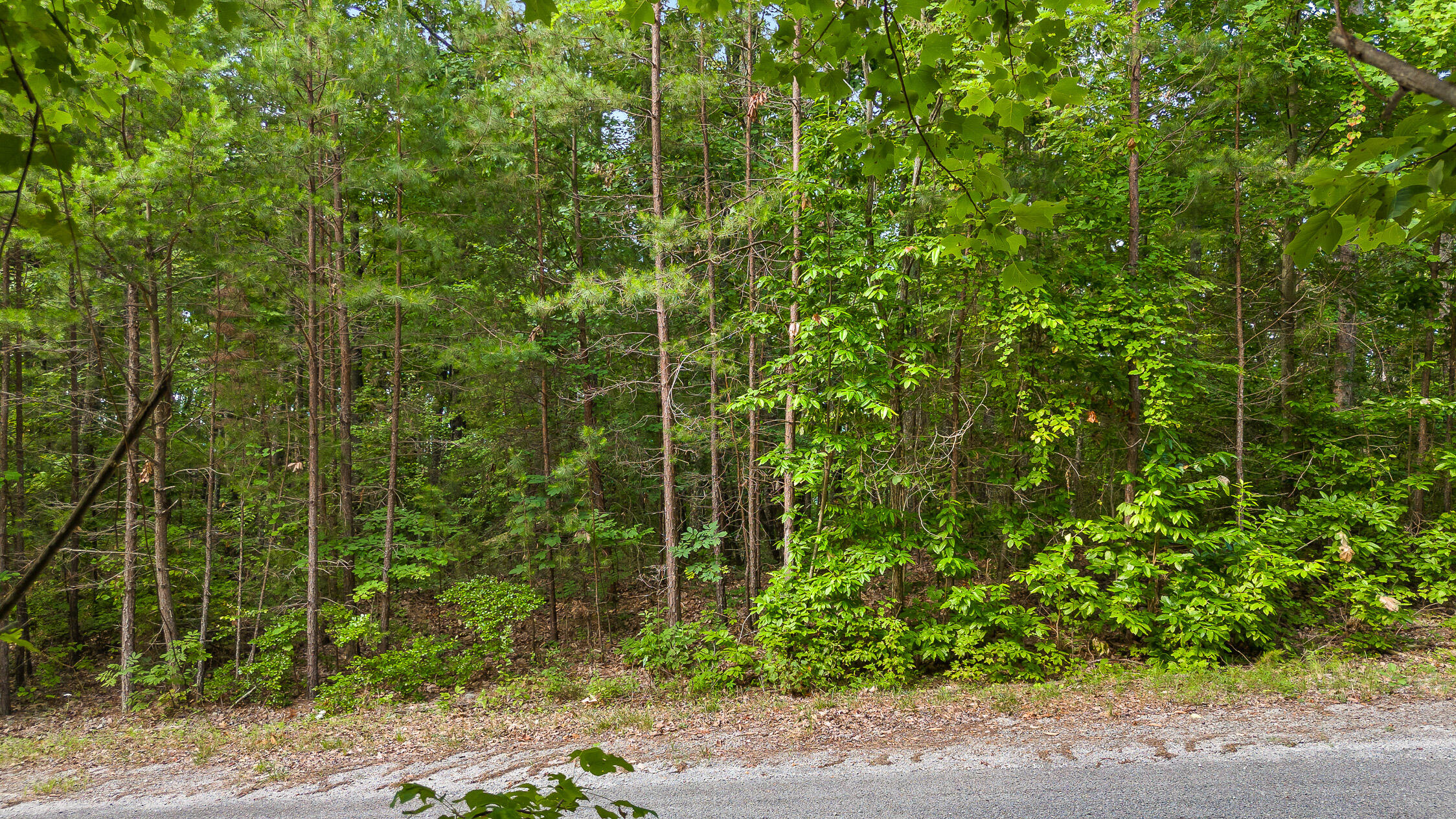 18 Old Harris Turnpike Road, South Pittsburg, Tennessee image 3
