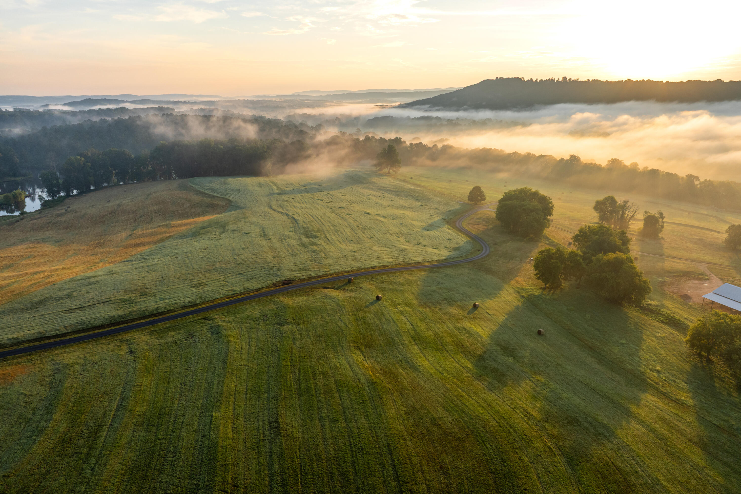 1129 Farmersville Road