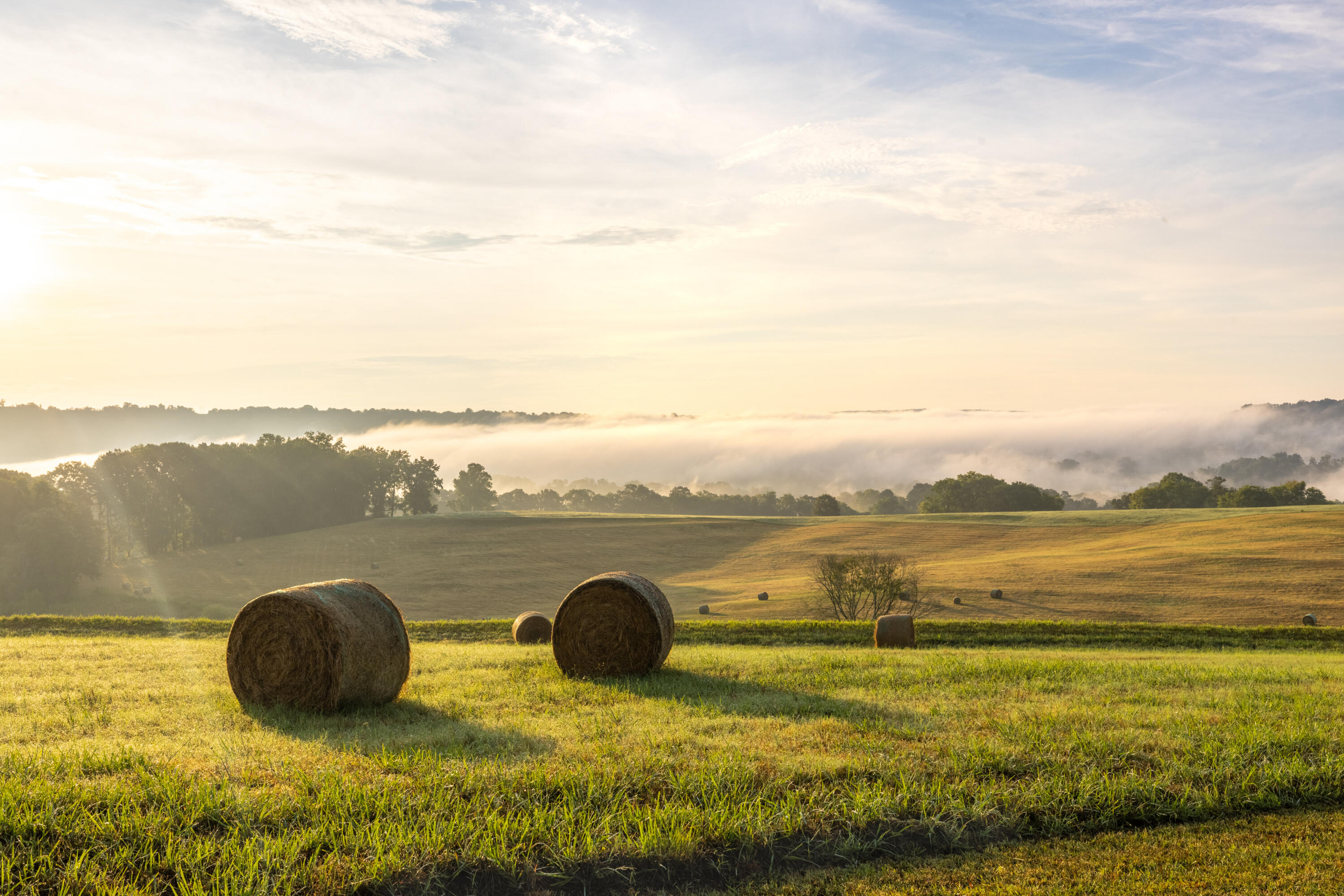 1129 Farmersville Road