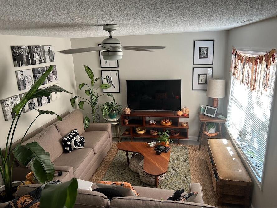 213 Alpine Drive