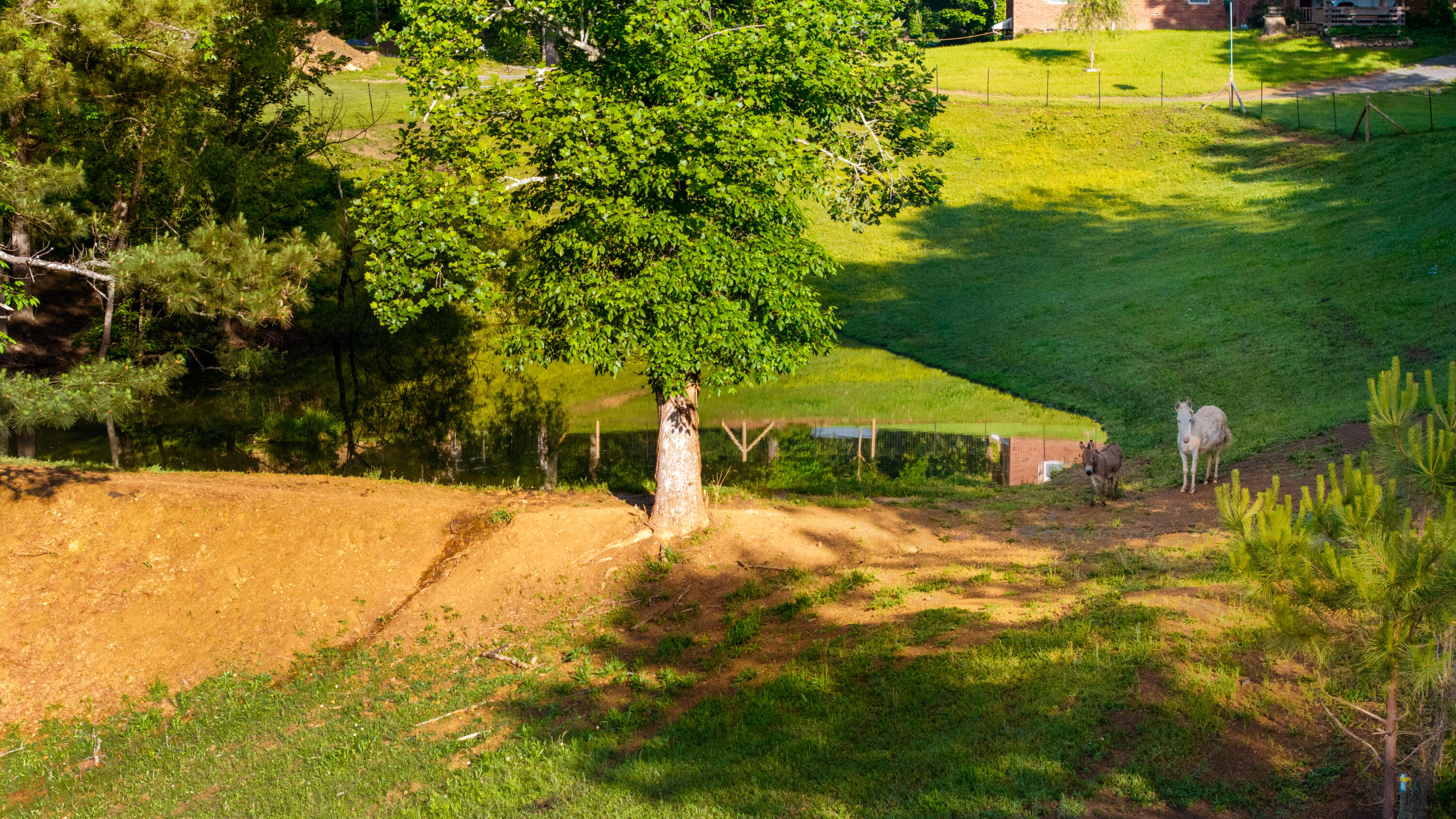 310 Moore Road, Charleston, Tennessee image 3
