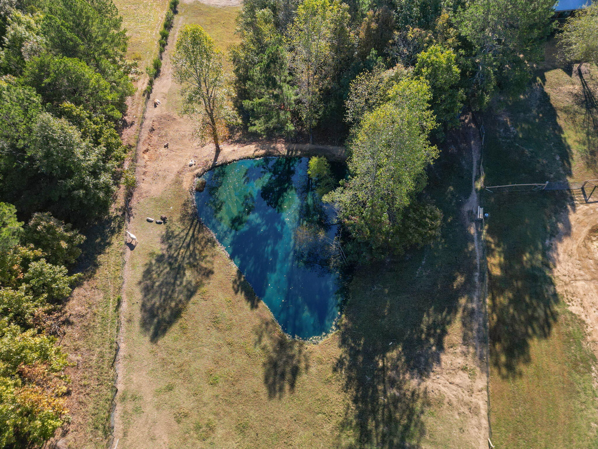 310 Moore Road, Charleston, Tennessee image 47