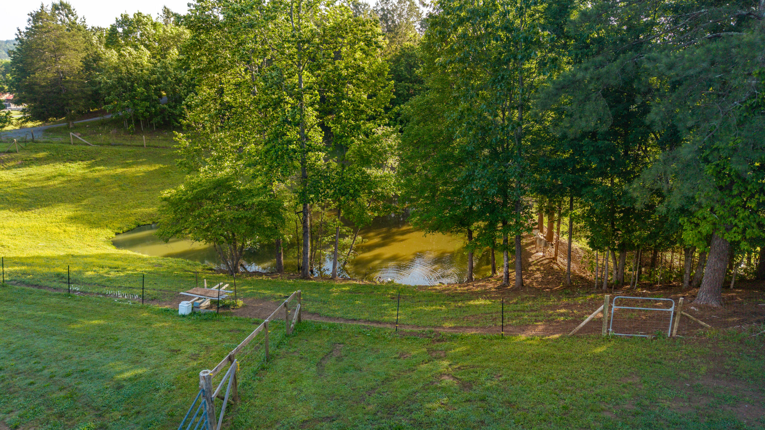 310 Moore Road, Charleston, Tennessee image 50