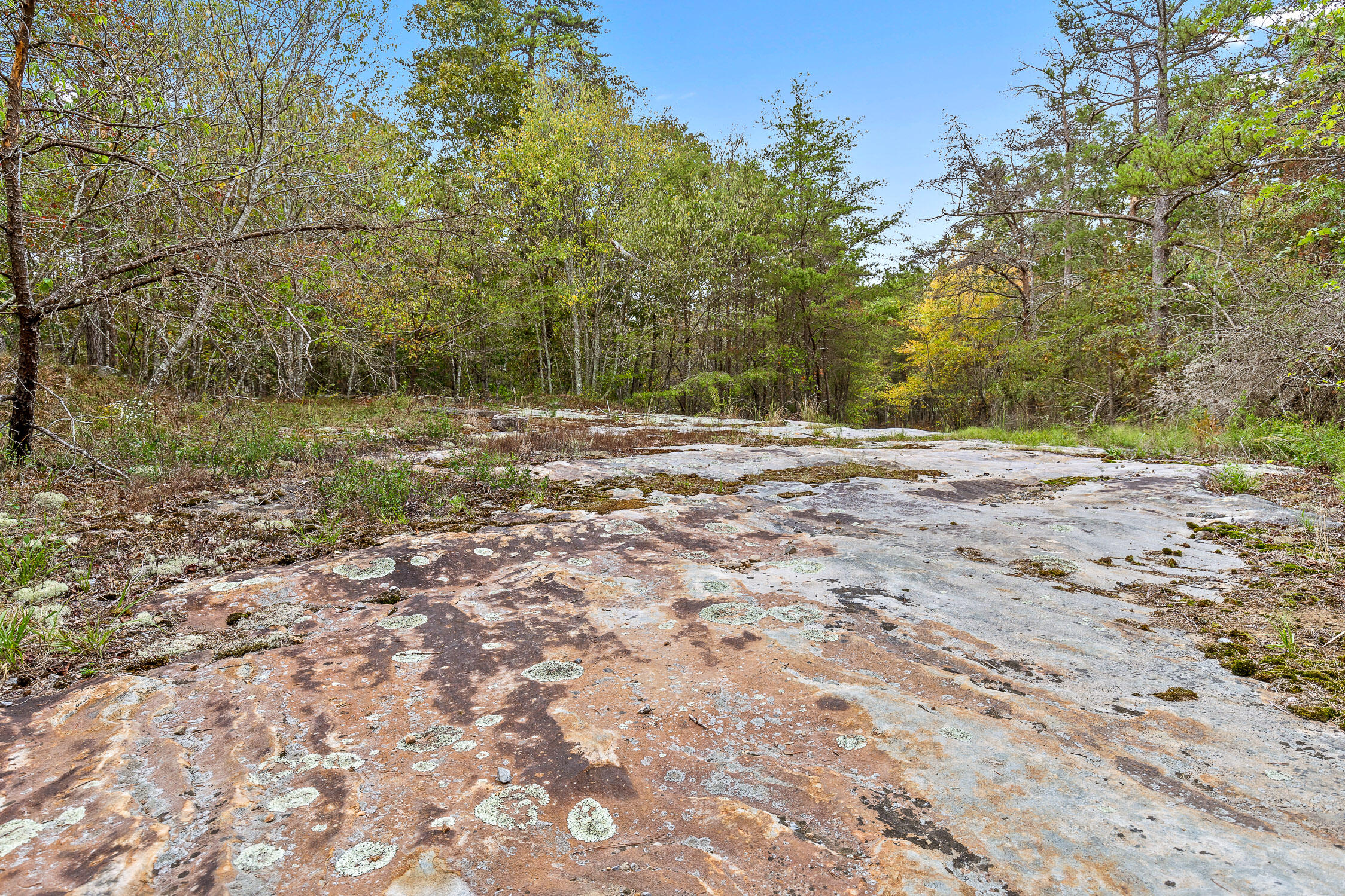 Brayton (bardominium) Road, Graysville, Tennessee image 38